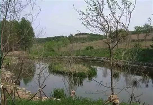 河道生態(tài)棲息地的修復設計與施工