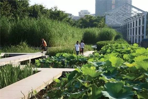 我們在設計濱水景觀時在設計什么？