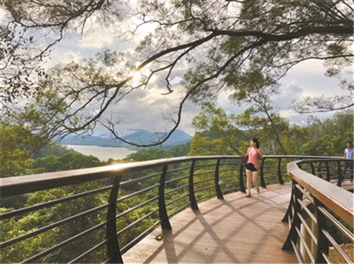 仙湖植物園景觀換新顏吸引世界目光
