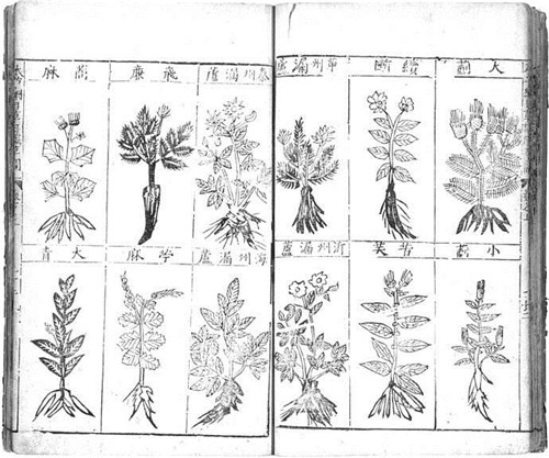 植物科學畫，宜興有名家