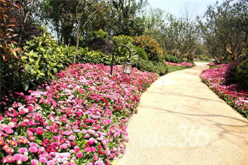 中國(guó)現(xiàn)代園林植物造景進(jìn)階論