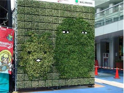 中國現(xiàn)代園林植物造景進階論