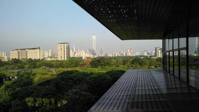 被媒體譽為深圳最美城市公園