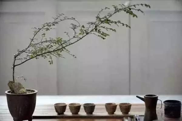 關于茶藝中用到的那些插花