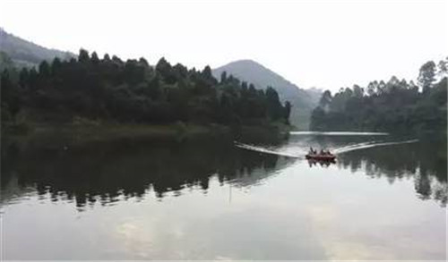 龍泉山城市森林公園美爆了
