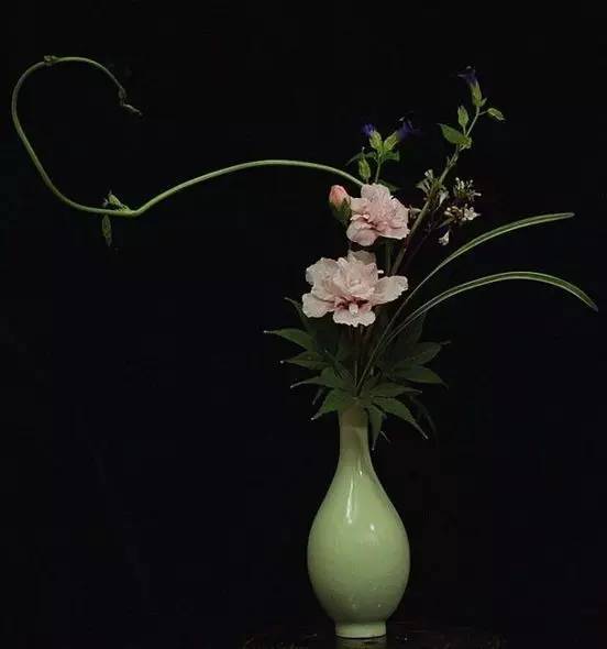 傳統(tǒng)花藝的三大特點(diǎn)解析