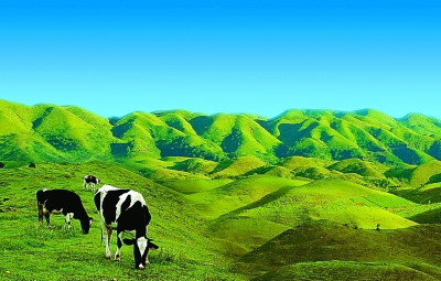 湖南南山國家公園體制試點(diǎn)區(qū)掠影（多圖）