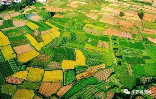 國外創(chuàng)意農(nóng)業(yè)的4種成功類型