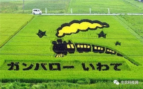 國外創(chuàng)意農(nóng)業(yè)的4種成功類型