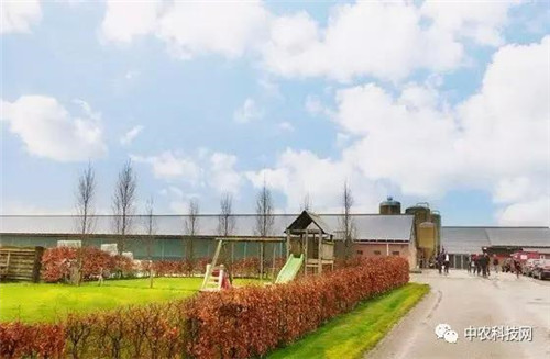 國外創意農業的4種成功類型