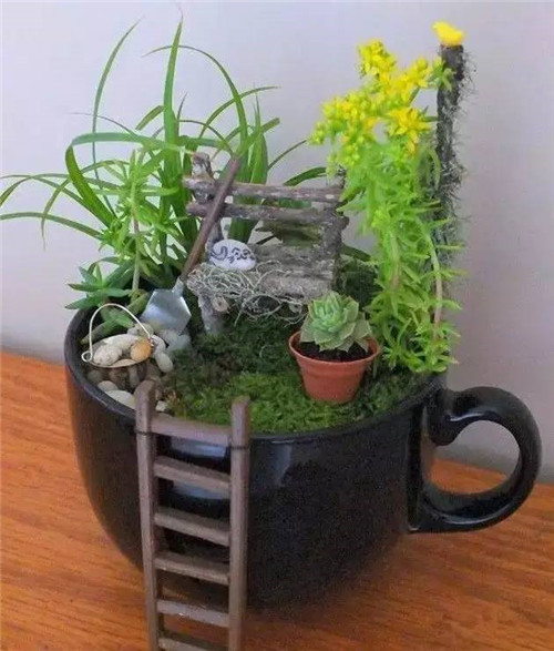 迷你微縮版花園，心都給萌化了