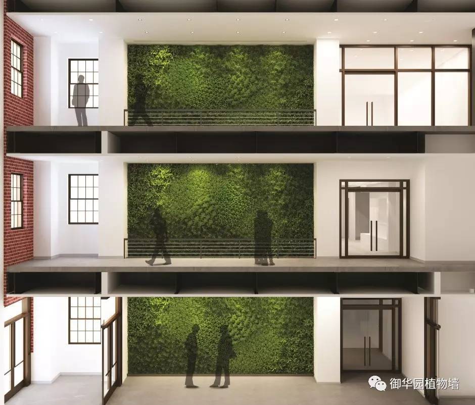 為什么植物墻效果圖不好出？