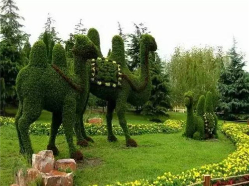 植物雕塑的城市景觀你見過嗎？