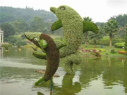 植物雕塑的城市景觀你見(jiàn)過(guò)嗎？