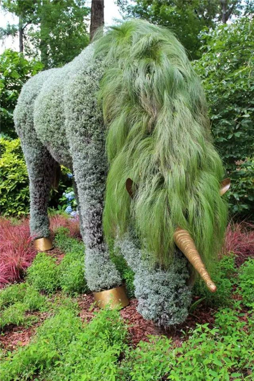 植物雕塑的城市景觀你見過嗎？