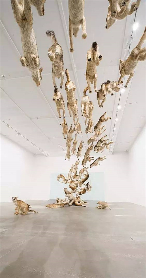 建筑大師為藝術大師設計的房子