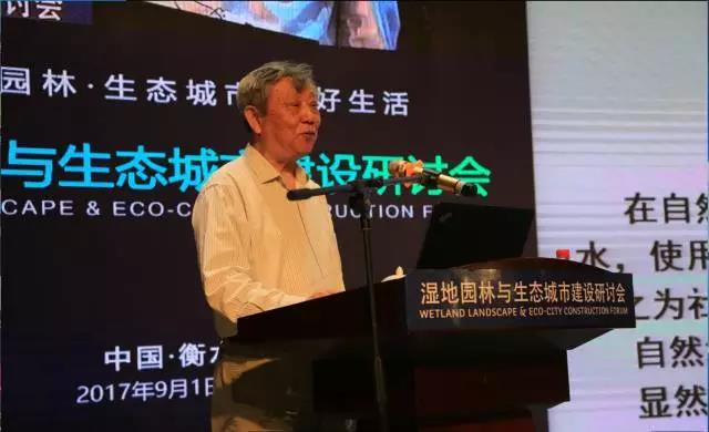 張杰：雨水循環與黑臭水體