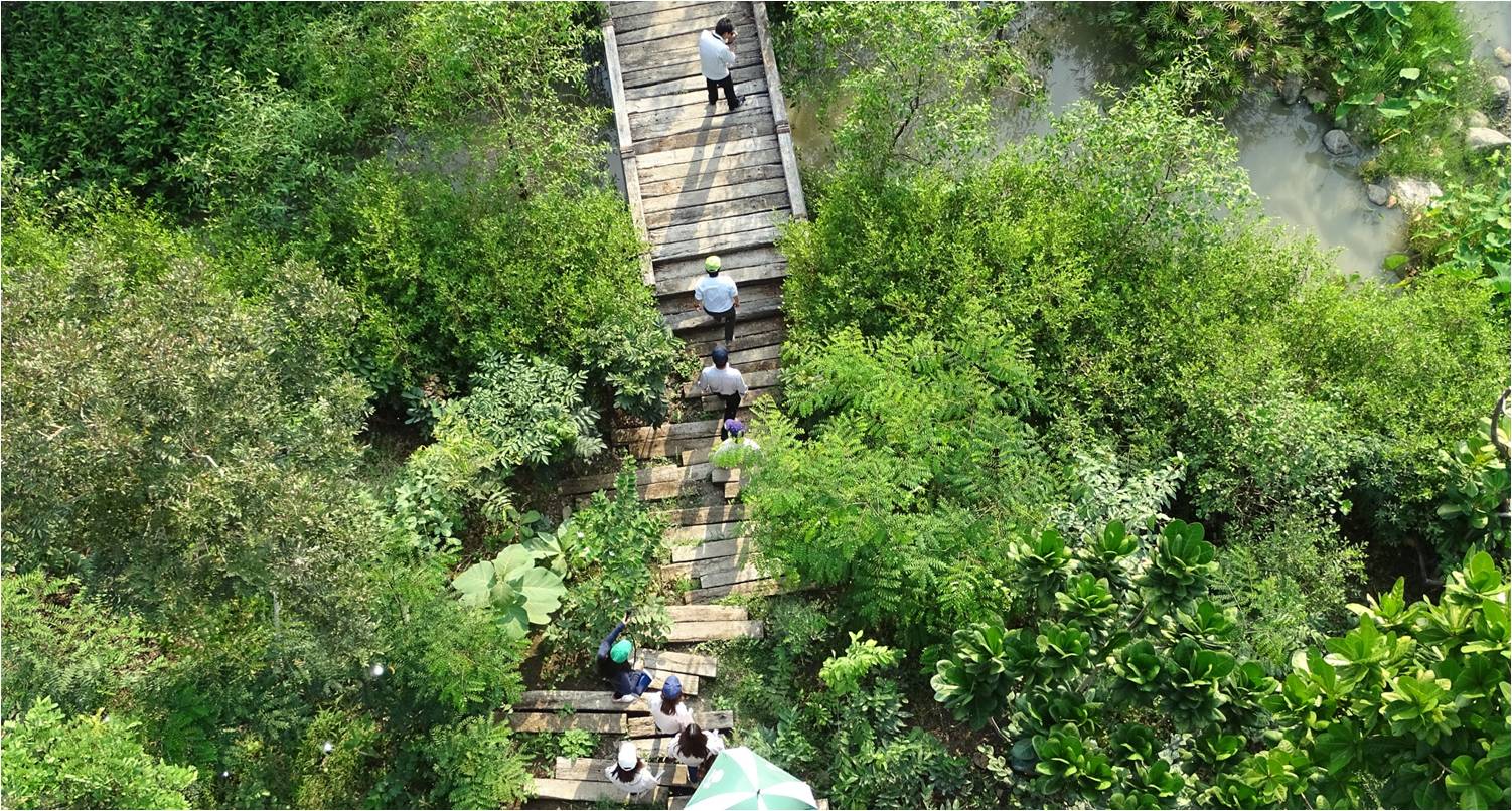 塔瓦才?科博凱奇：生態城市景觀方法