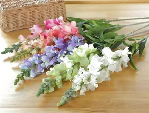 插花花材，你應(yīng)該這樣挑