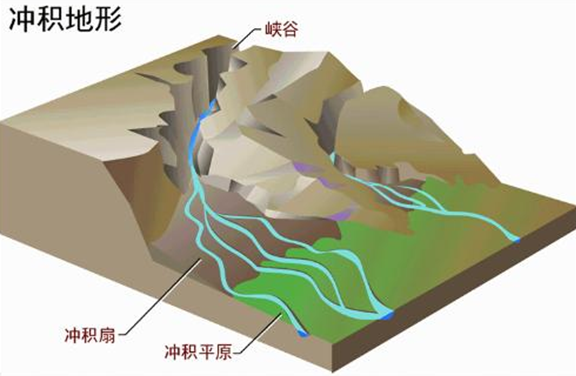 鄧曉梅：衡水湖——如何譜寫(xiě)人與濕地的新篇章