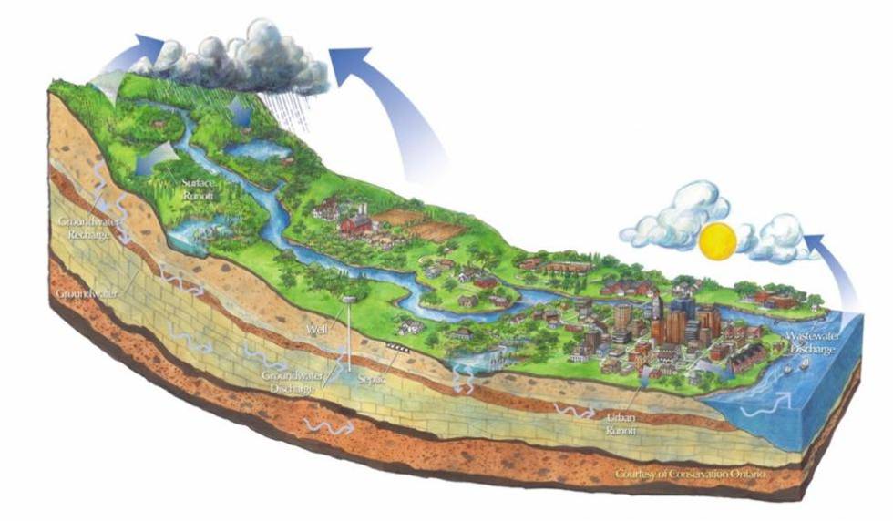 陳克林：爭(zhēng)創(chuàng)天藍(lán)、地綠、水凈國際濕地城市