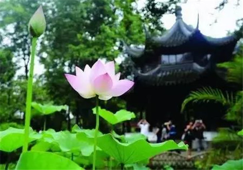 中國古典園林的造園“三境”