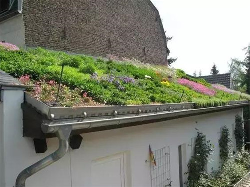 綠植代替瓦片，覆土建筑讓景觀天人合一！