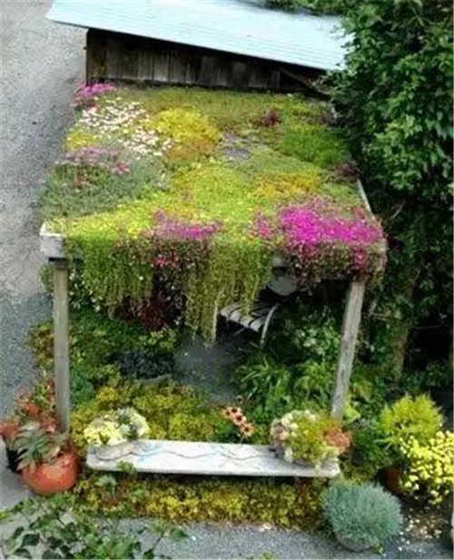 綠植代替瓦片，覆土建筑讓景觀天人合一！
