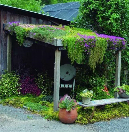 綠植代替瓦片，覆土建筑讓景觀天人合一！