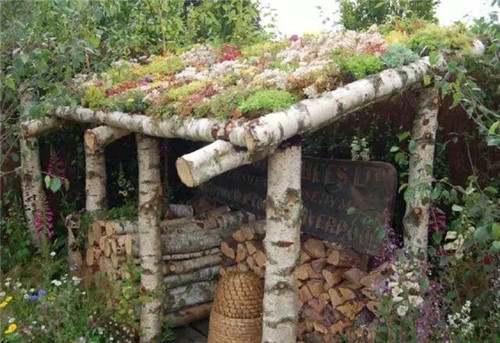 綠植代替瓦片，覆土建筑讓景觀天人合一！