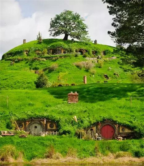 綠植代替瓦片，覆土建筑讓景觀天人合一！