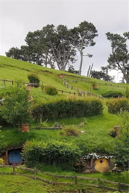 綠植代替瓦片，覆土建筑讓景觀天人合一！