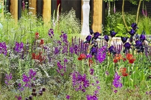 歐洲的花園為何被稱為庭院設計中的典范？