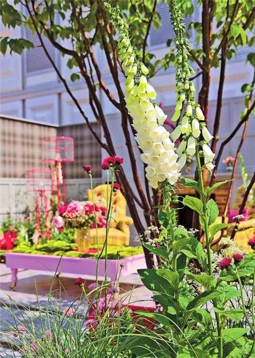 歐洲的花園為何被稱為庭院設計中的典范？