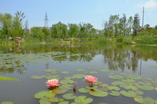 園冶杯專業獎：安慶康熙河景觀工程