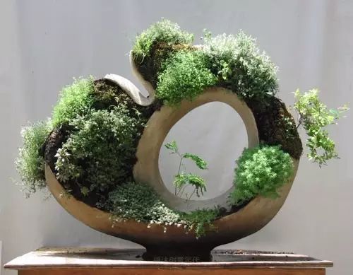 超有創意，是雕塑還是花盆？