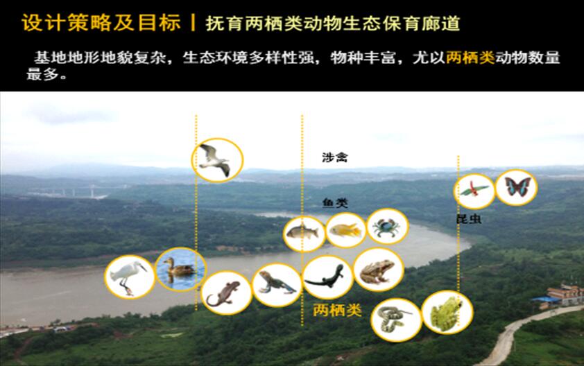 專業獎：金海灣公園峽江風貌展示區規劃設計