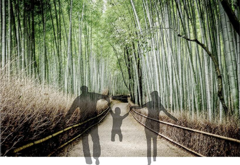 專業獎：金海灣公園峽江風貌展示區規劃設計
