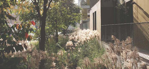 園冶杯專業獎：梅溪湖路西延線道路景觀設計