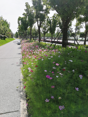 園冶杯專業獎：梅溪湖路西延線道路景觀設計