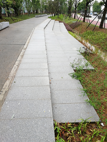 園冶杯專業獎：梅溪湖路西延線道路景觀設計