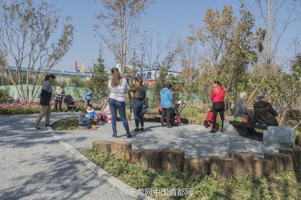 北京新街口再添城市森林公園 恢復宜居環境