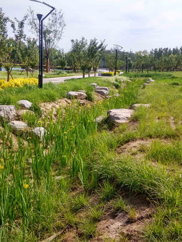 園冶杯專業獎：固安迎賓大道街角北、南公園