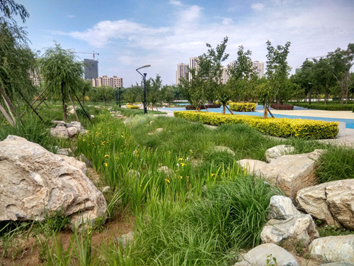 園冶杯專業獎：固安迎賓大道街角北、南公園