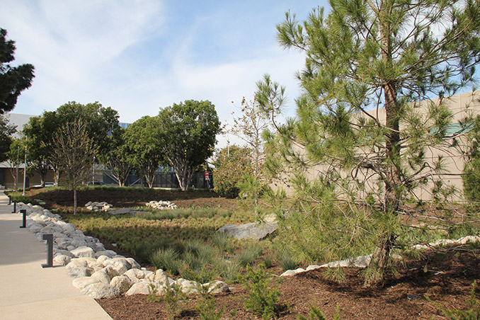 具有不同空間的美國(guó)艾西赫拉公園