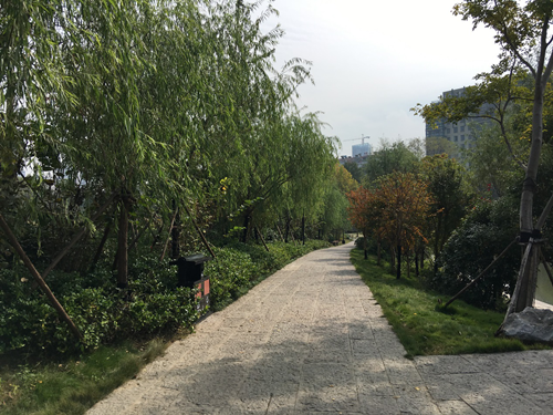 園冶杯專業獎：滁州內城河景觀改造設計