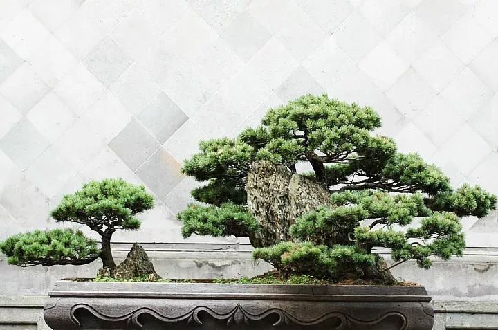 中國傳統(tǒng)園林建筑小品