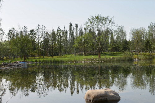 園冶杯專業(yè)獎:固安中央公園景觀設(shè)計