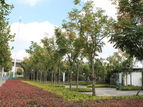 園冶杯專業獎:2015年小游園建設工程A標段