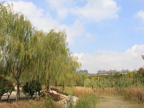 園冶杯專業獎:2015年小游園建設工程A標段